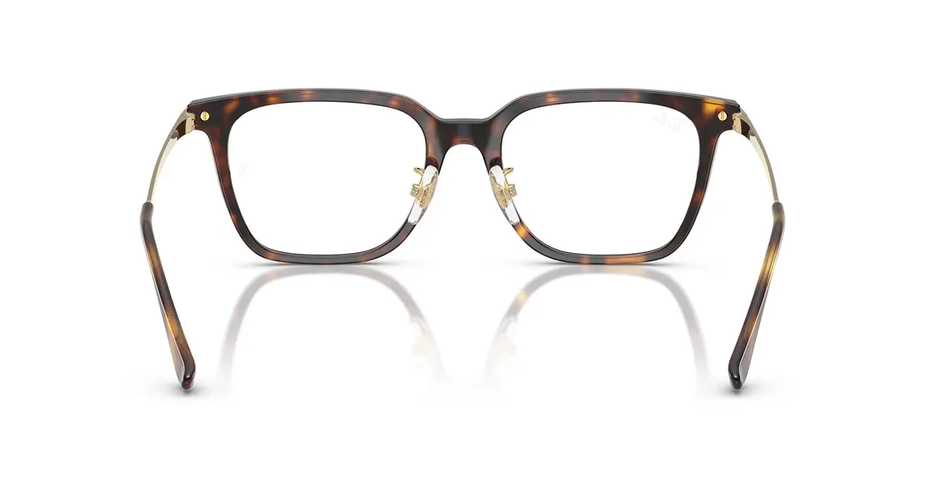 Ray-Ban RB5442D 2012 s52