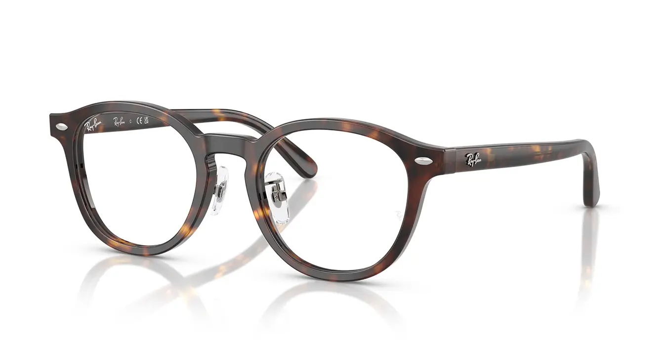 Ray-Ban RB5443D 2012 s49