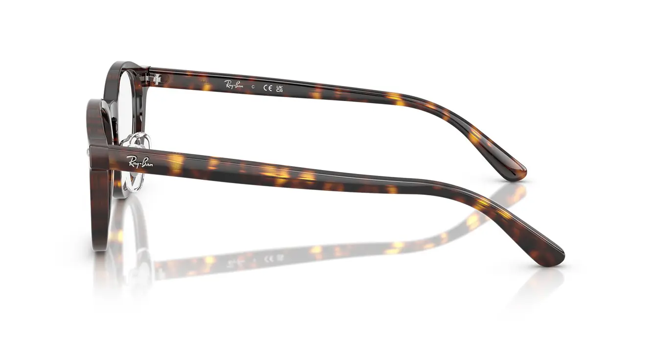 Ray-Ban RB5443D 2012 s49