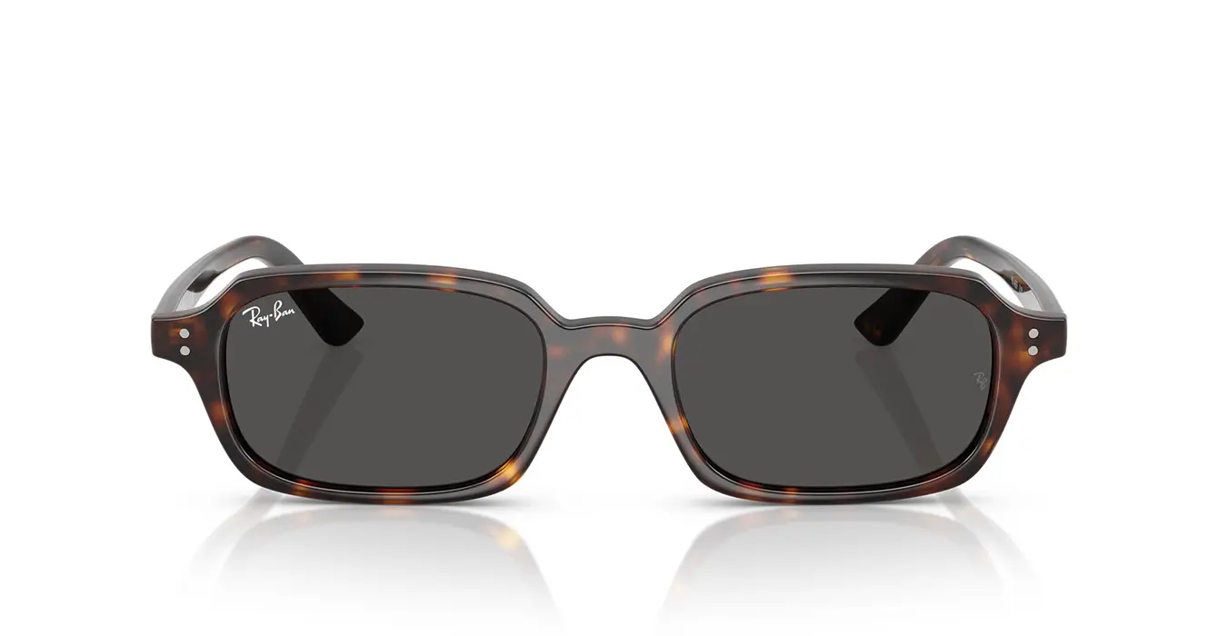 Ray-Ban RB4455F 1359/87 s51