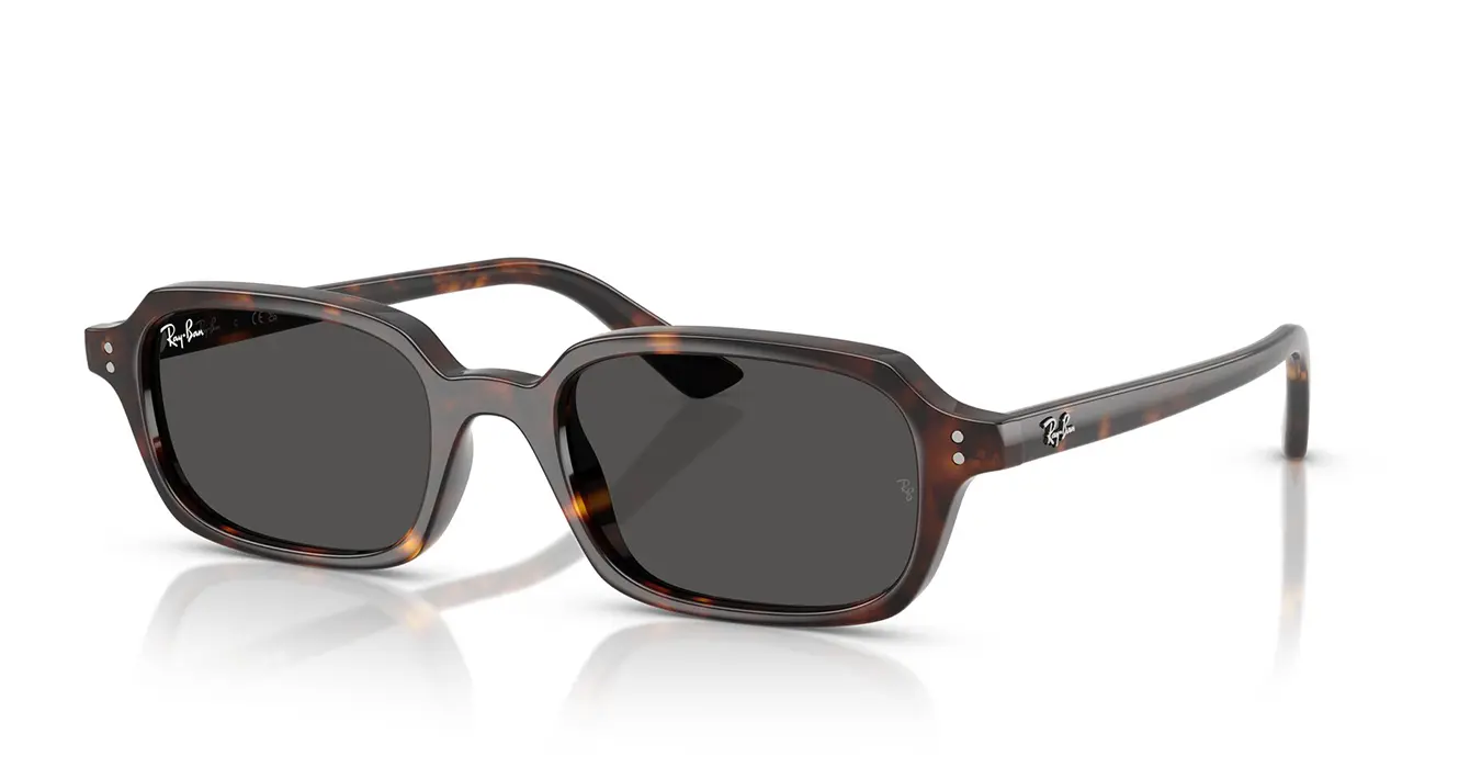 Ray-Ban RB4455F 1359/87 s51