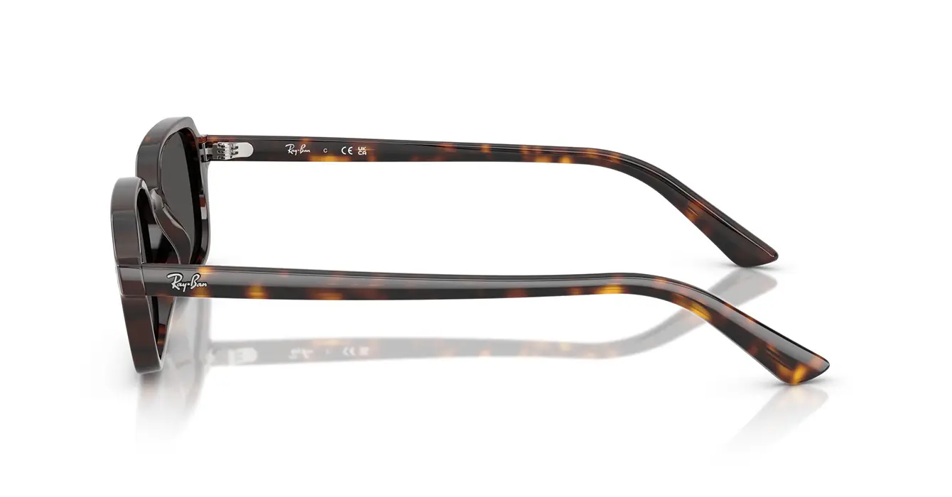 Ray-Ban RB4455F 1359/87 s51