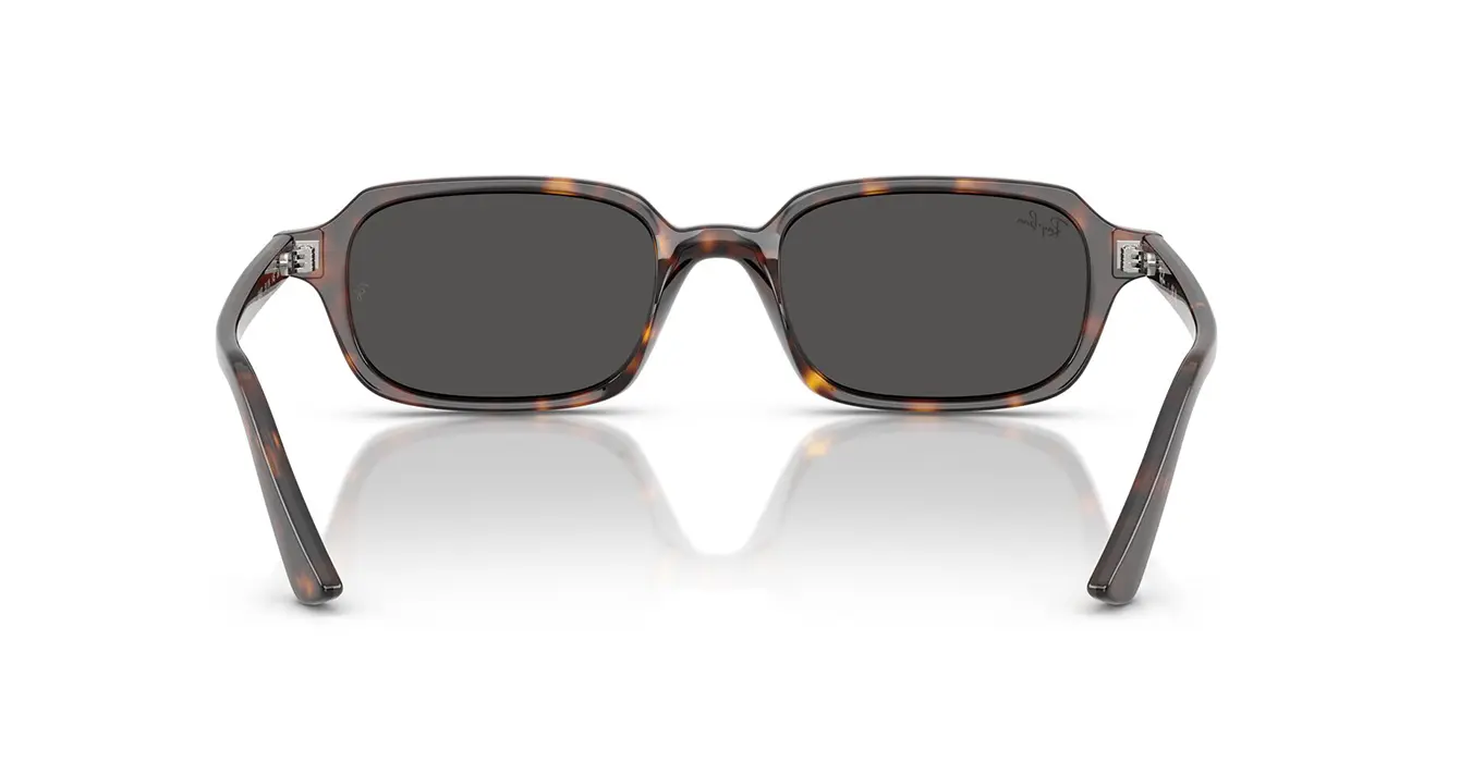 Ray-Ban RB4455F 1359/87 s51