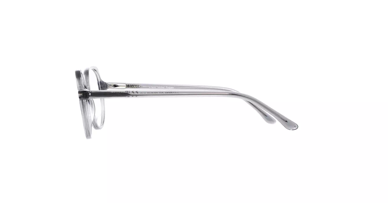 Franc Nobel Rogan AST6570 C2 s50 + Clip On