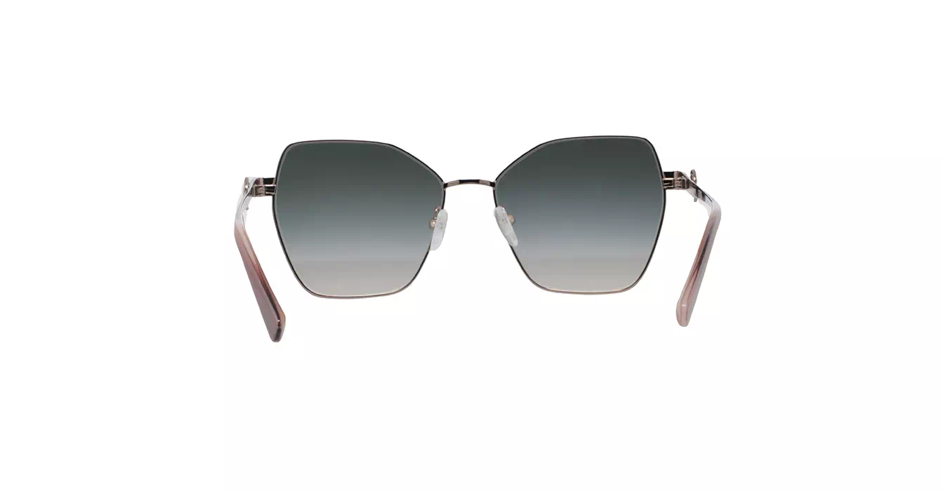 Longchamp LO180S 725 s58