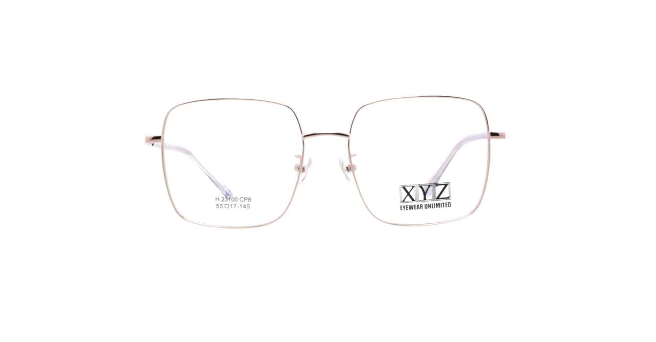 XYZ H23100 CP8 s55