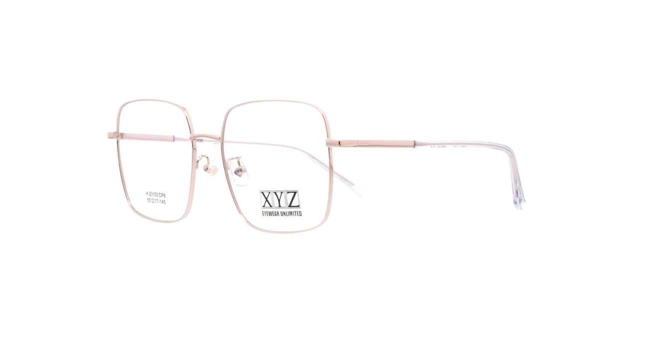 XYZ H23100 CP8 s55