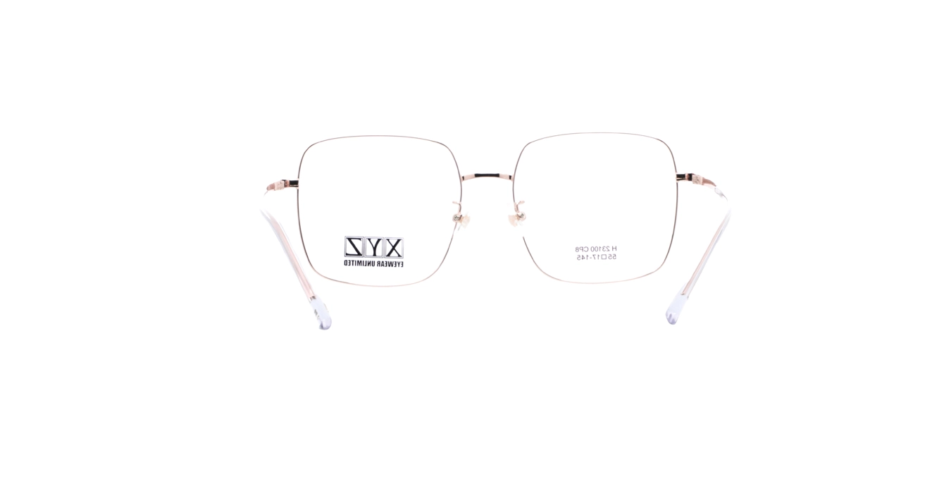 XYZ H23100 CP8 s55