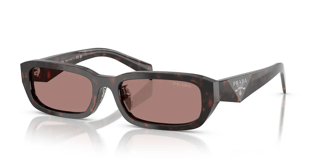 Prada SPR B06-F 17N-60B s55