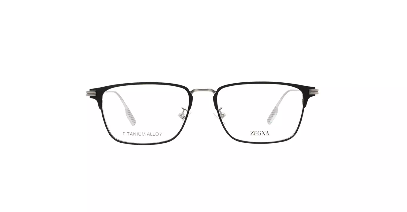 Ermenegildo Zegna EZ5316-D 002 s55