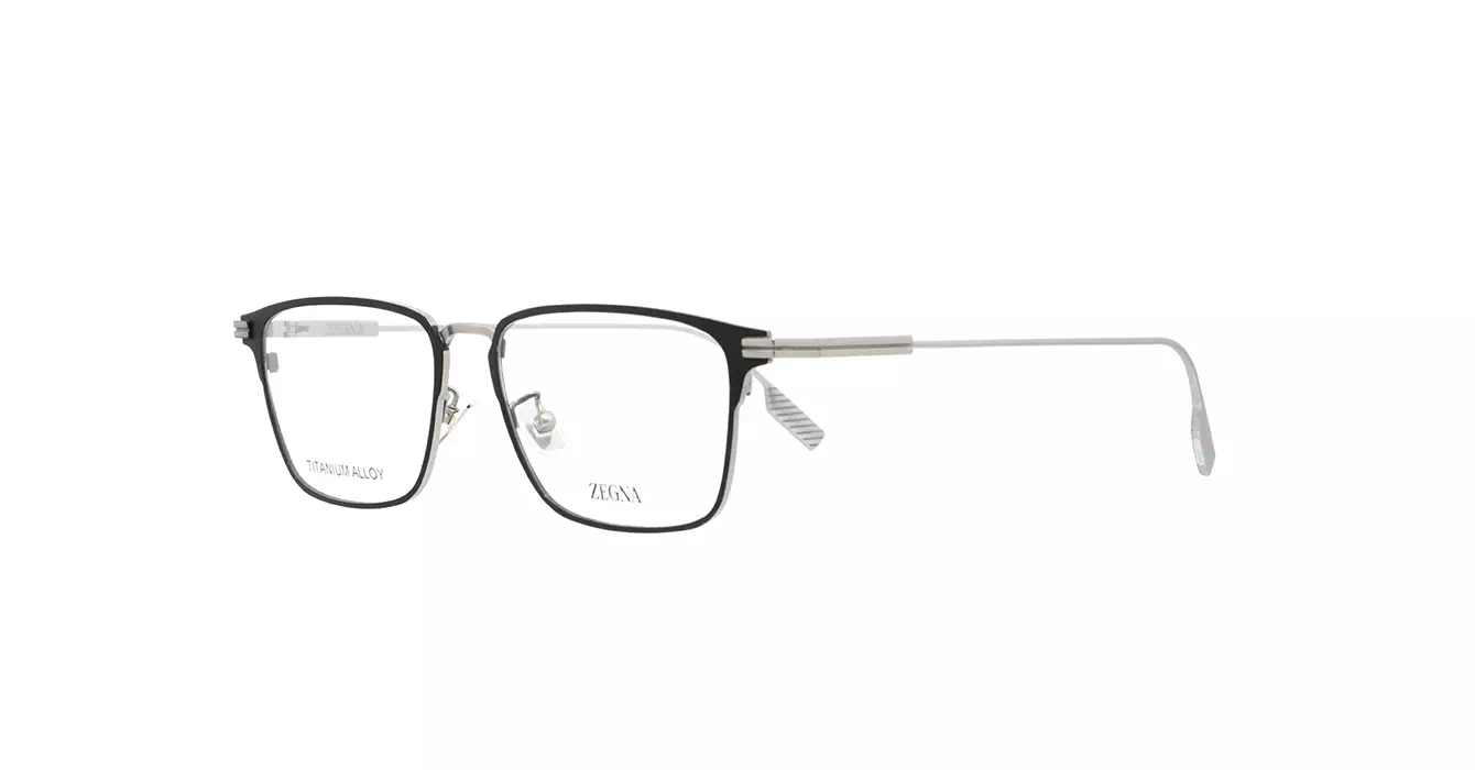 Ermenegildo Zegna EZ5316-D 002 s55