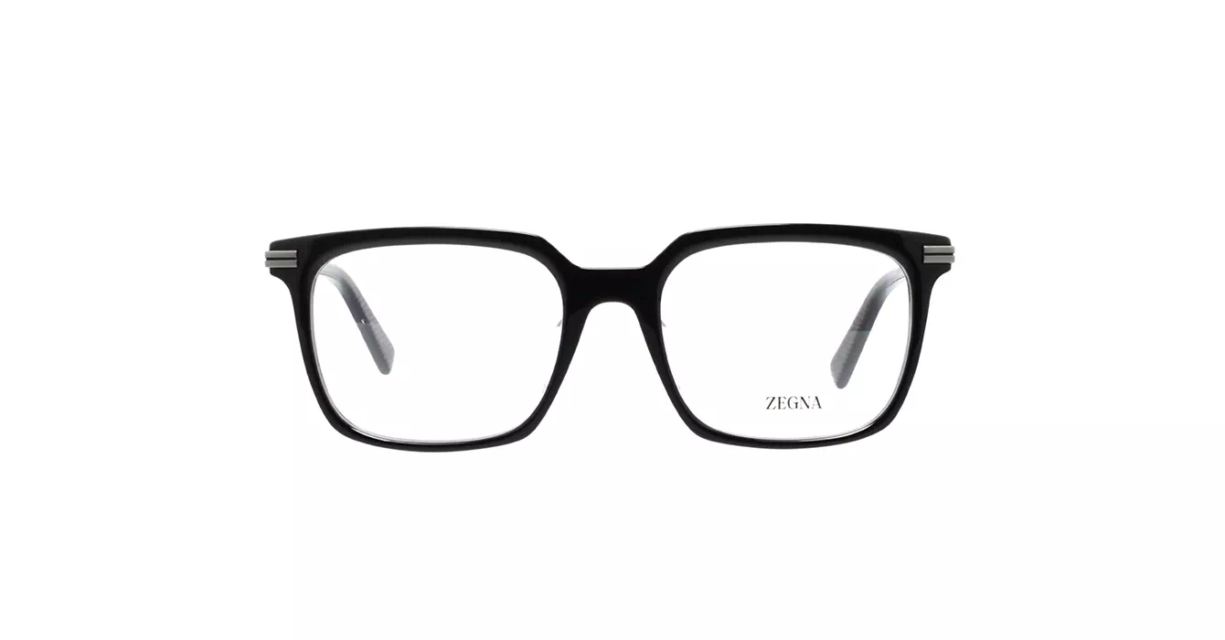 Ermenegildo Zegna EZ5309-F 001 s54