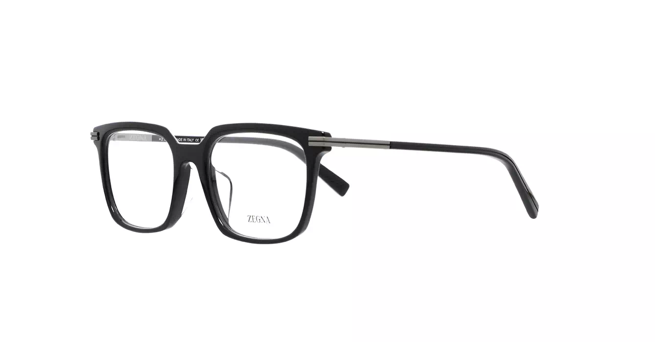 Ermenegildo Zegna EZ5309-F 001 s54