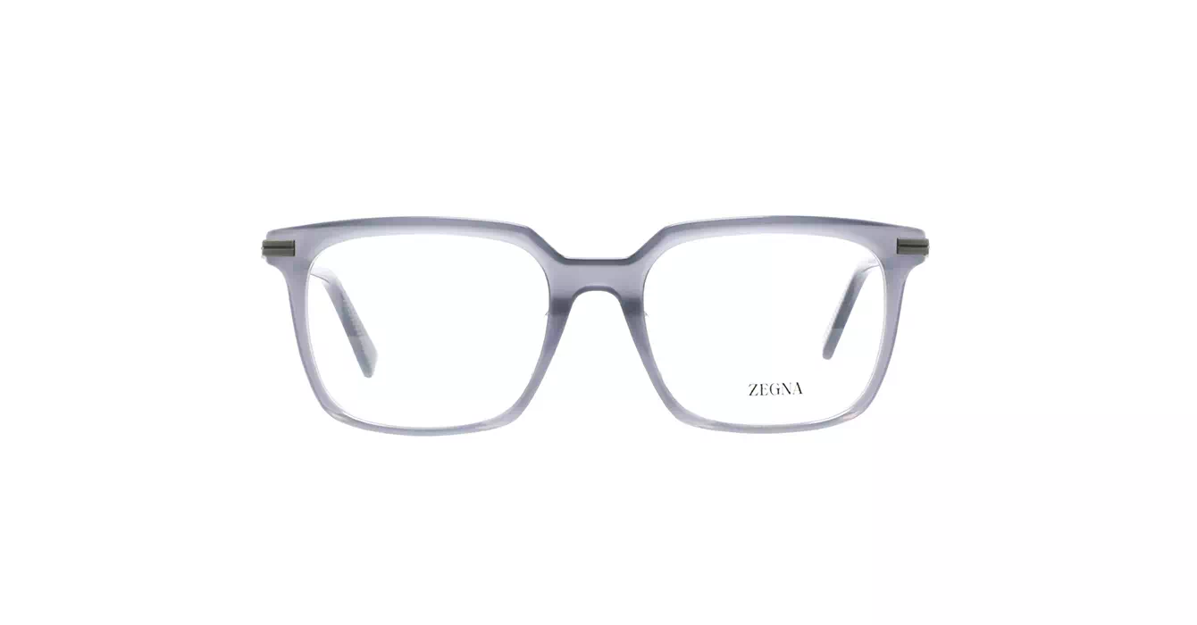 Ermenegildo Zegna EZ5309-F 020 s54