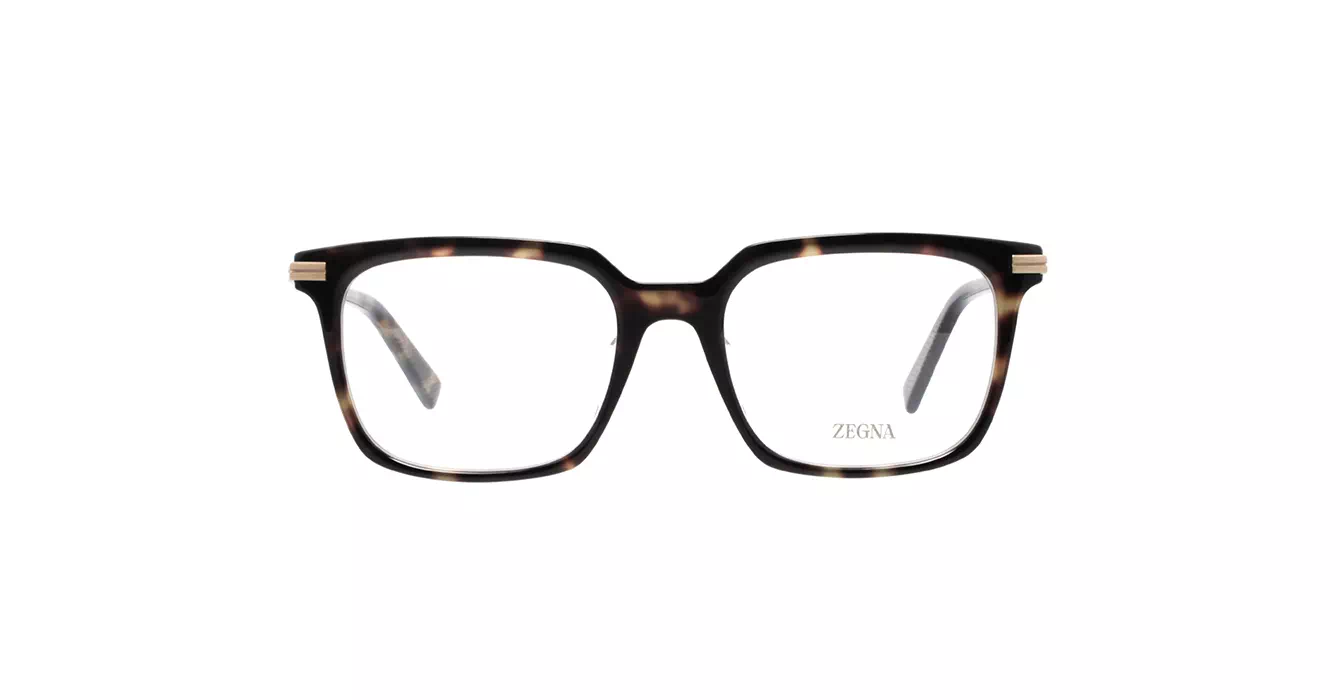 Ermenegildo Zegna EZ5309-F 052 s54