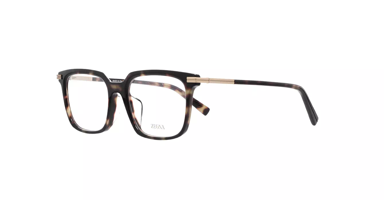 Ermenegildo Zegna EZ5309-F 052 s54