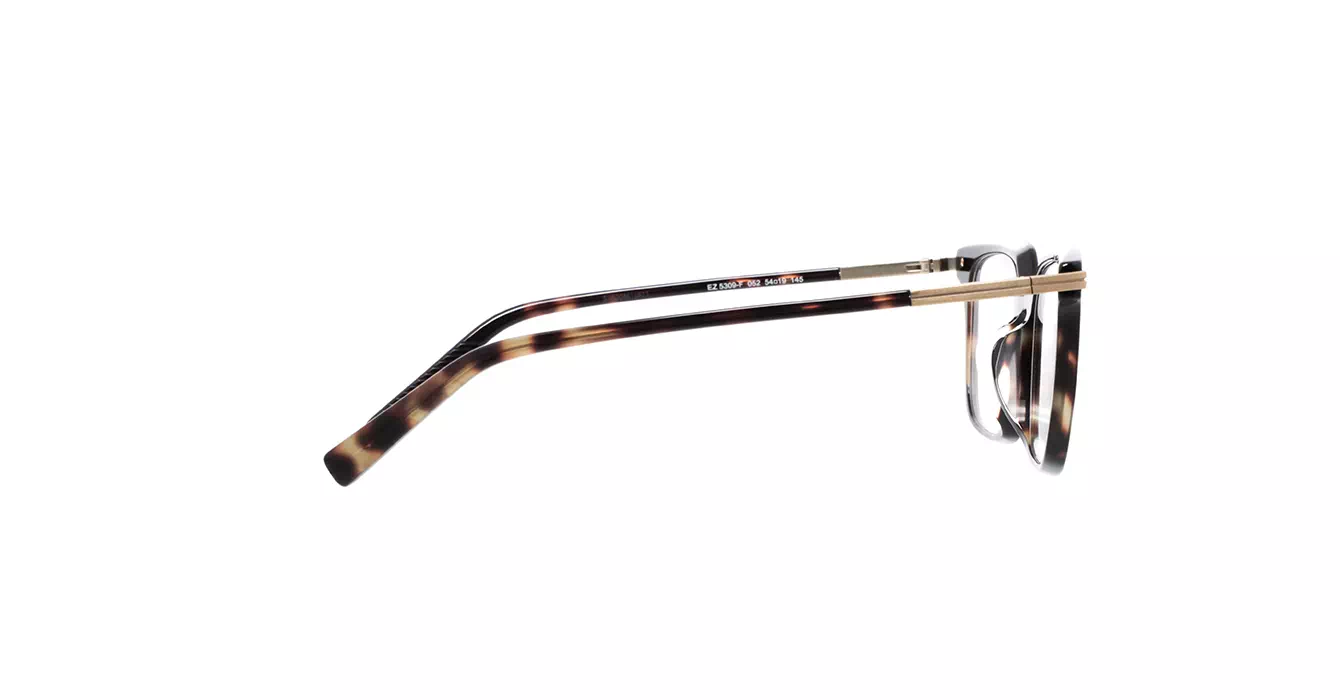 Ermenegildo Zegna EZ5309-F 052 s54