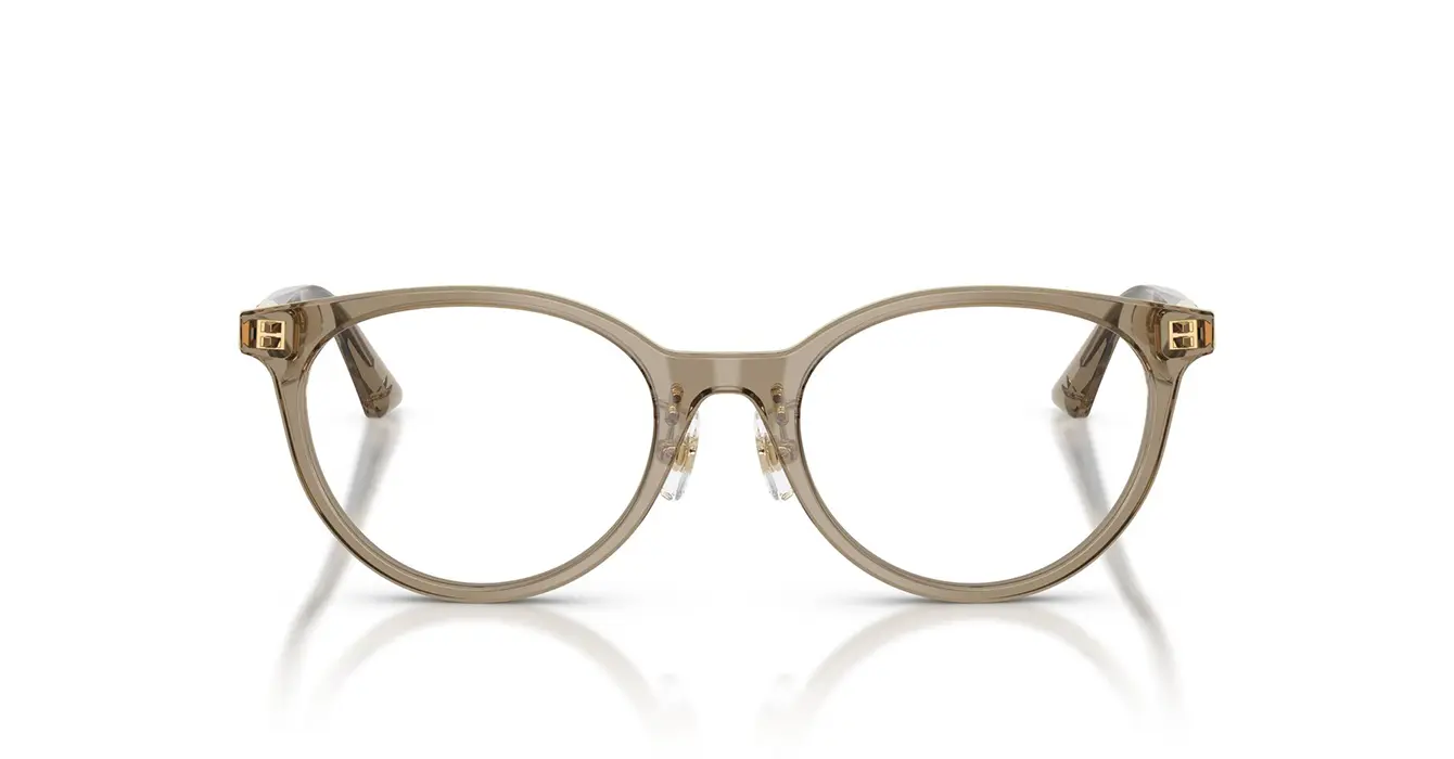 Jimmy Choo JC3039D 5051 s48