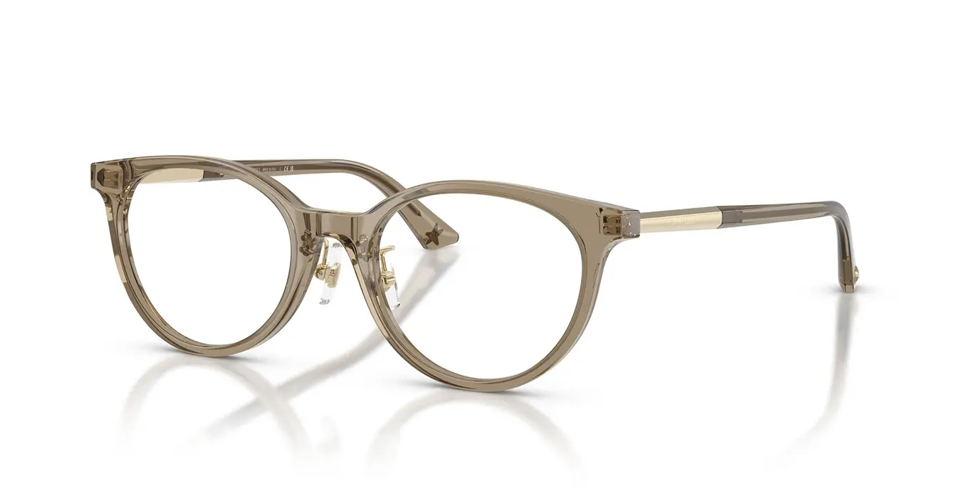 Jimmy Choo JC3039D 5051 s48