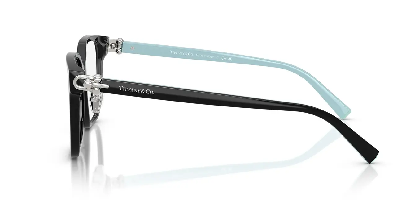 Tiffany&co TF2274-D 8001 s53