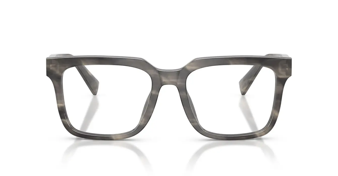 Dolce & Gabanna 3422 3199 s53