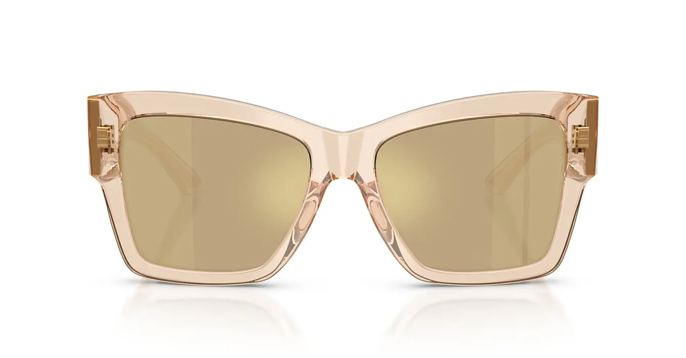 Dolce & Gabanna 4493 3432/03 s55