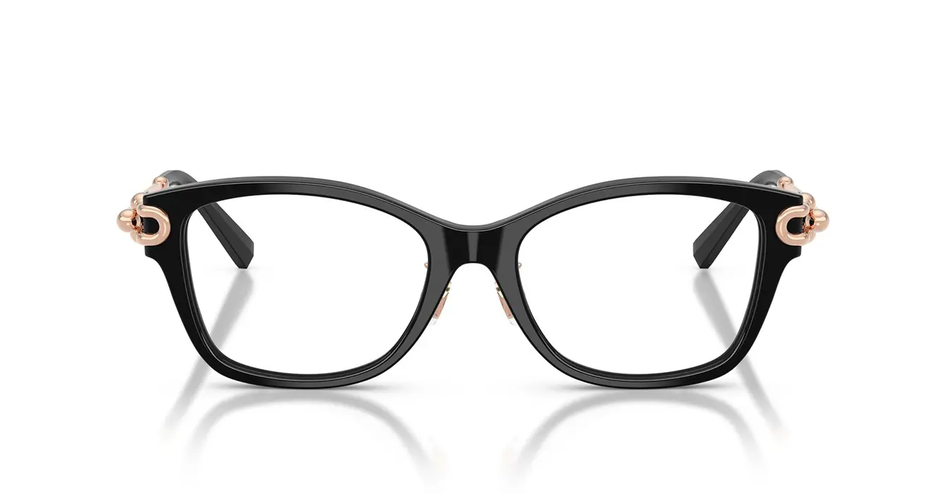 Tiffany&co TF2266-F 8001 s51