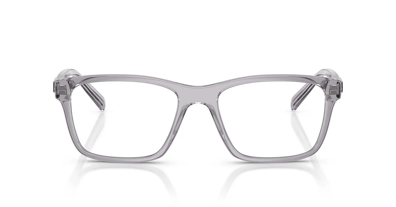 Armani Exchange AX3114F 8239 s55