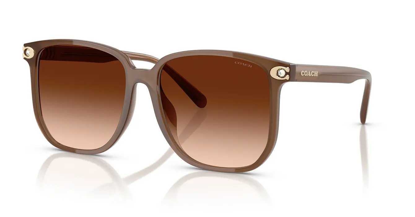 Coach HC8413BD 5808/74 s58