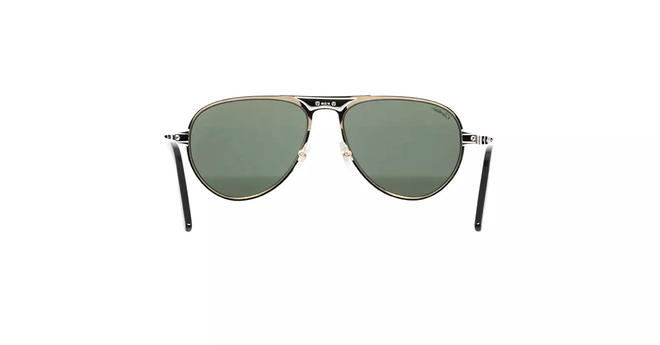 Cartier CT0533S 002 s58