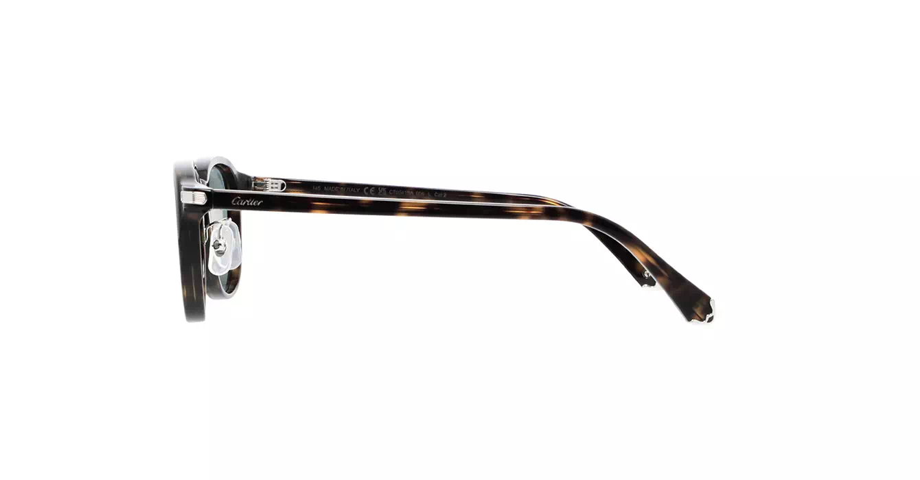 Cartier CT0541SA 006 s53