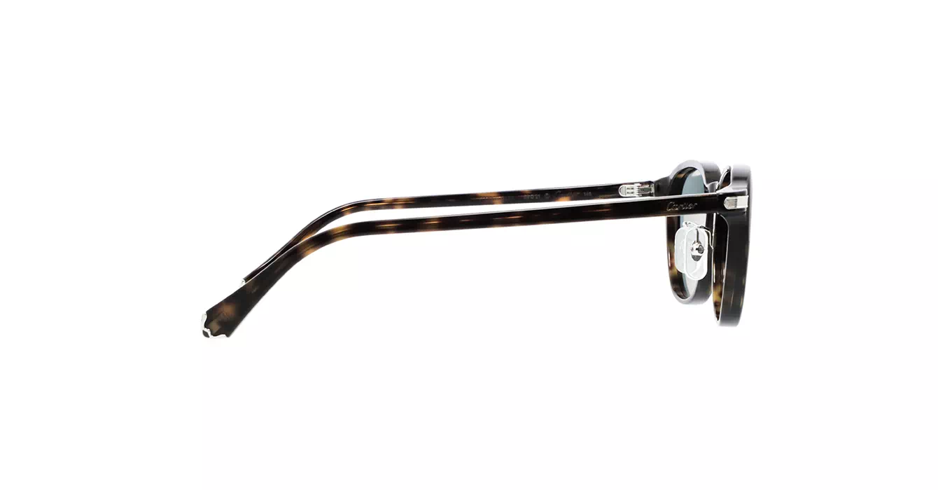 Cartier CT0541SA 006 s53