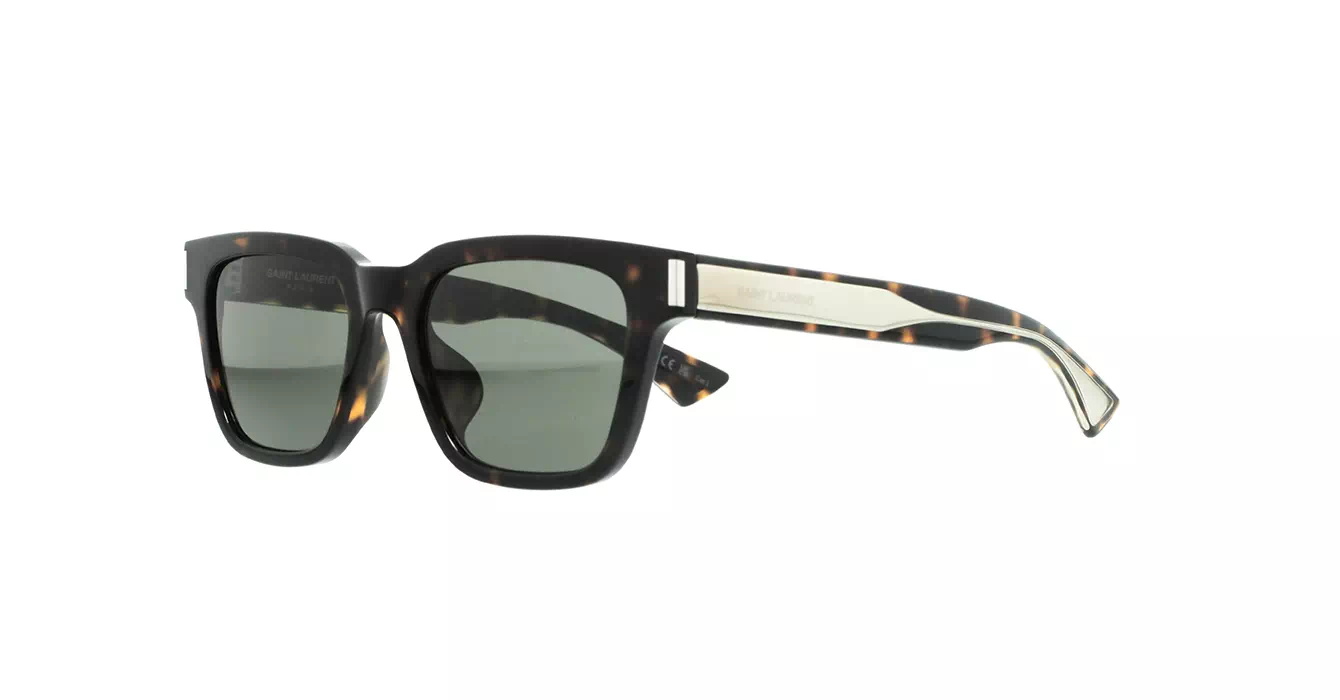 Saint Laurent SL 790/F 002 s53