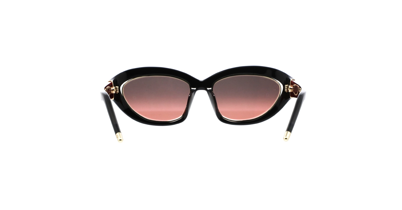 Louboutin LB0003 05B s55