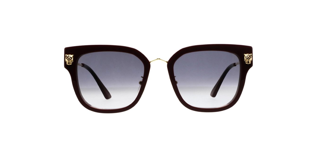 Cartier CT0509SA 003 s55