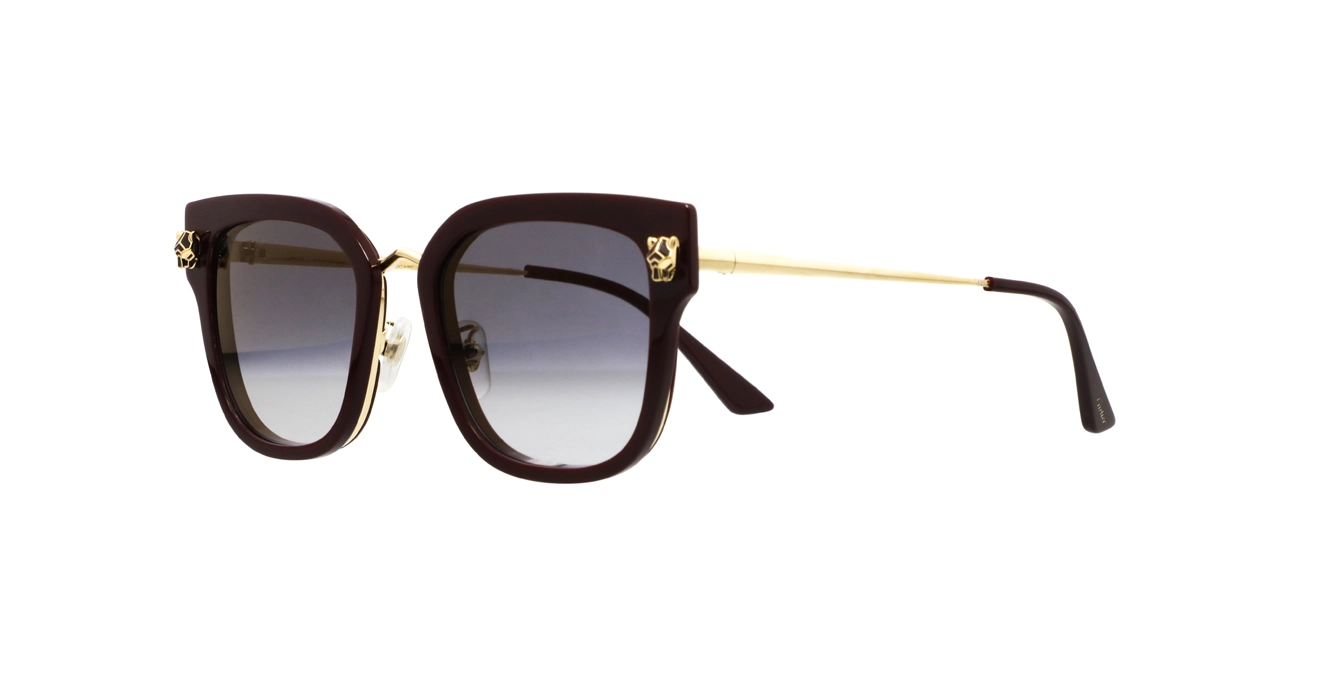 Cartier CT0509SA 003 s55