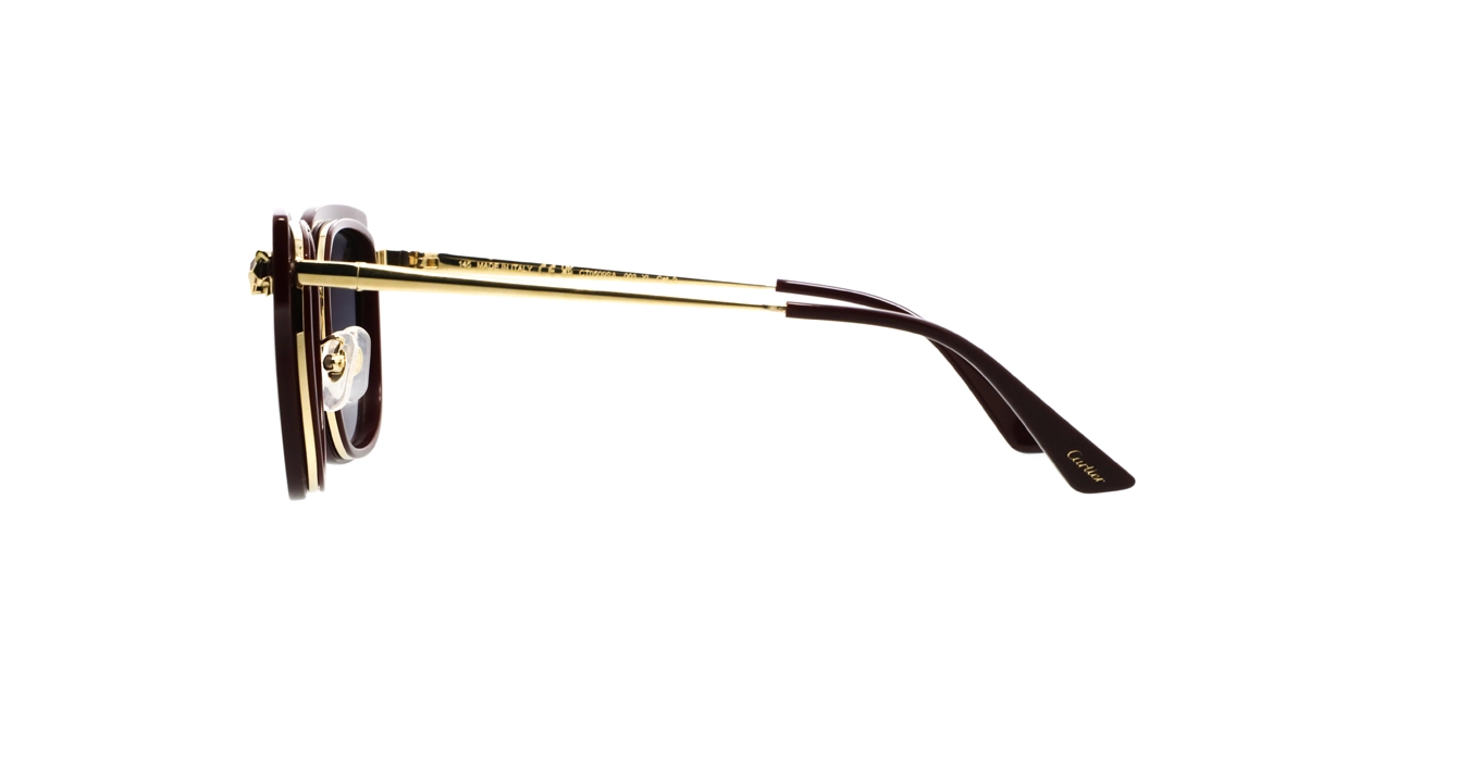Cartier CT0509SA 003 s55
