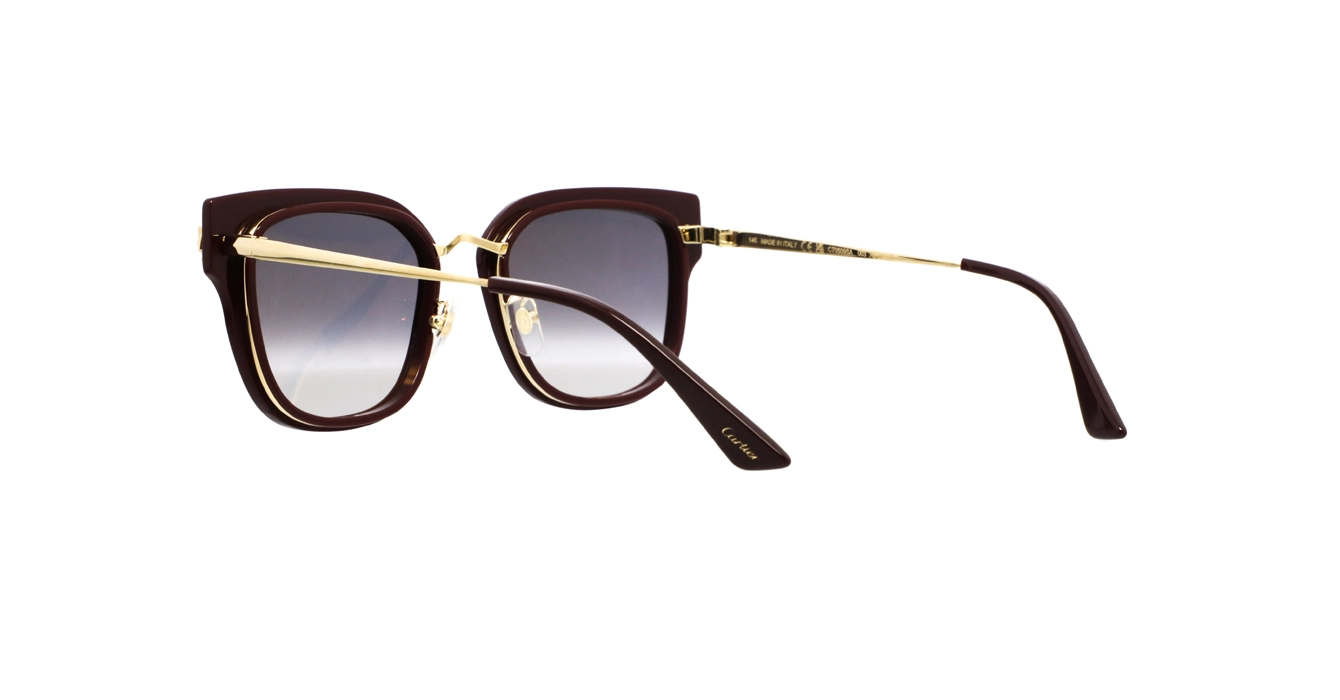 Cartier CT0509SA 003 s55