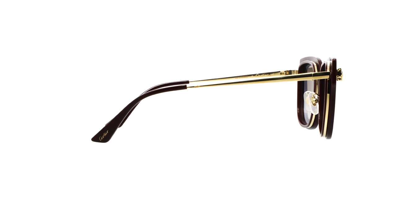 Cartier CT0509SA 003 s55
