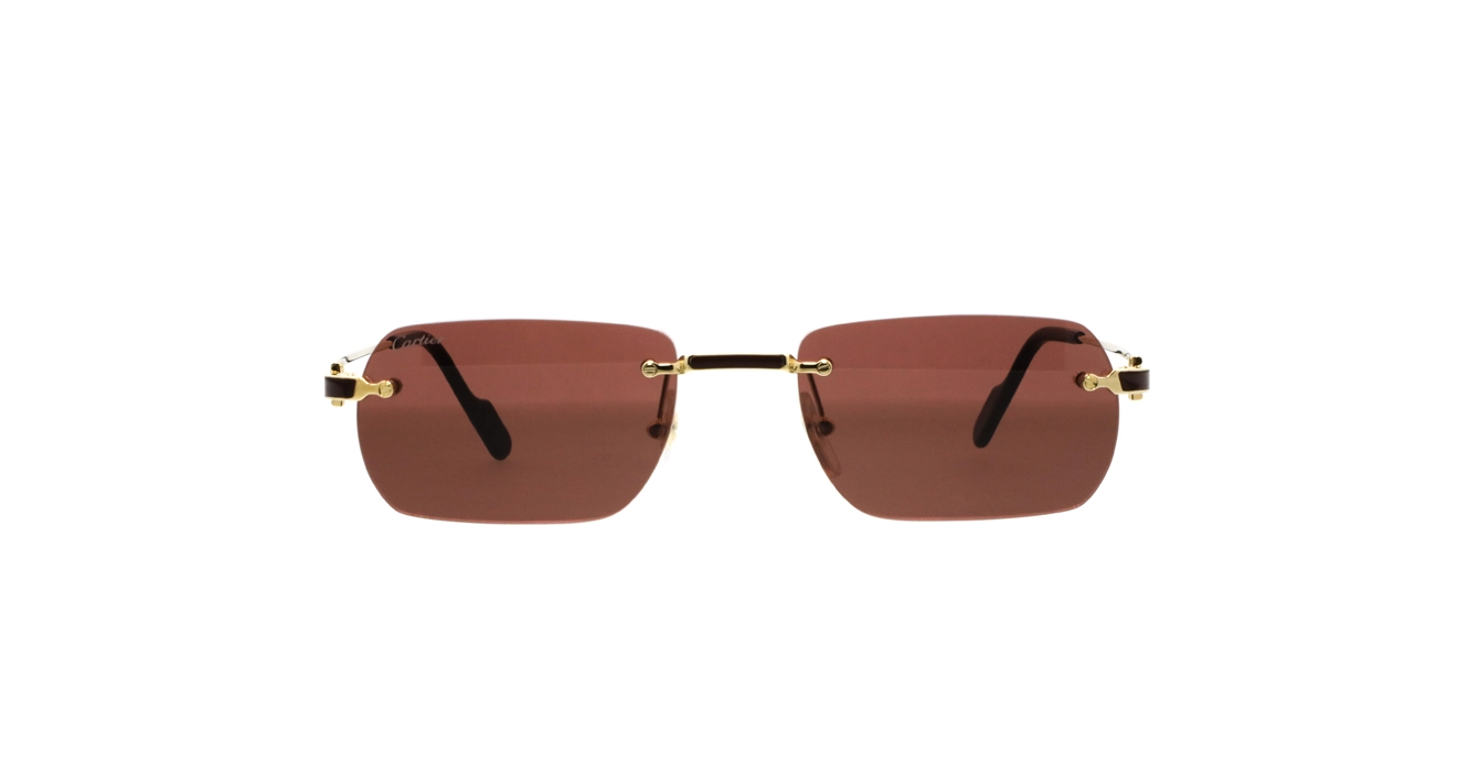Cartier CT0498S 002 s55