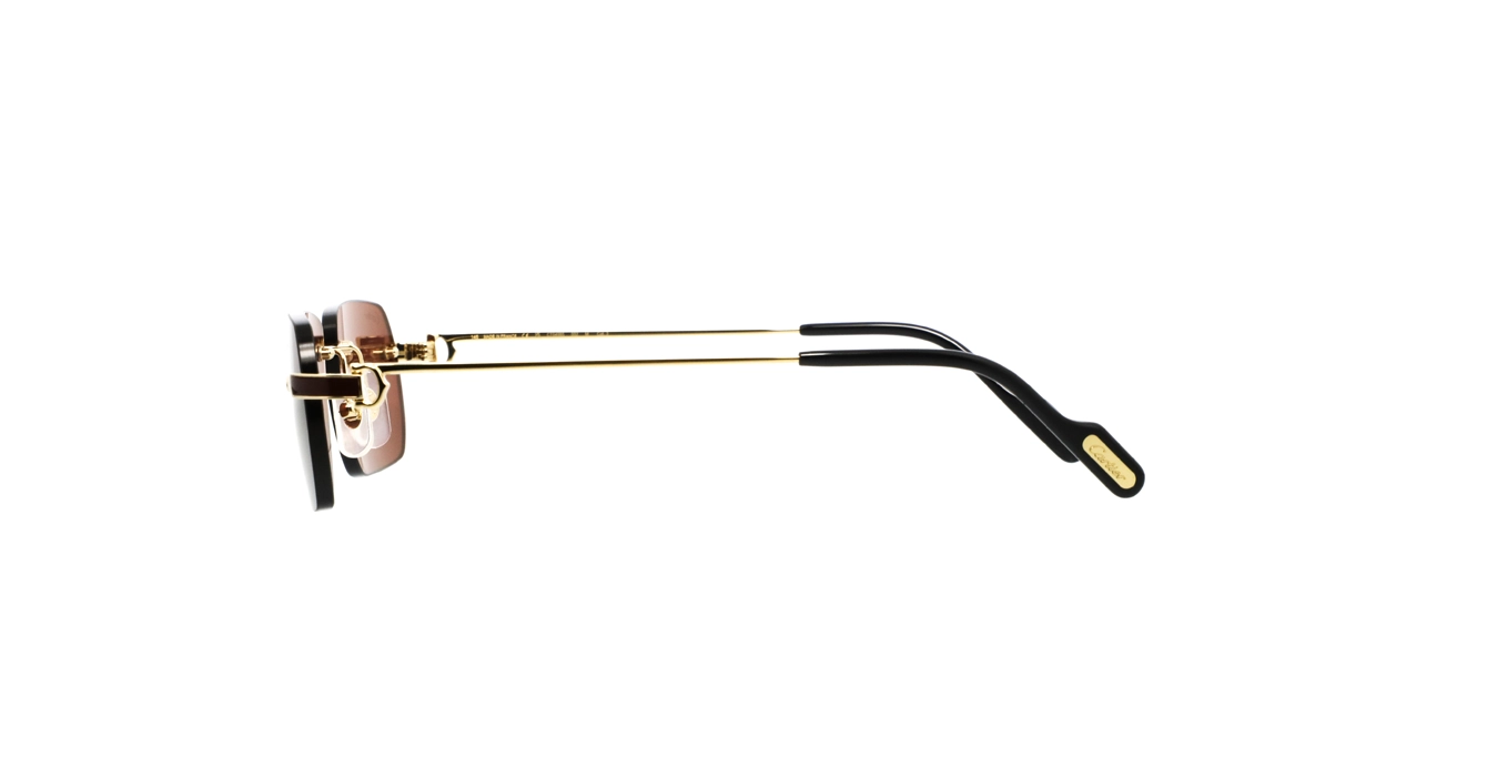 Cartier CT0498S 002 s55