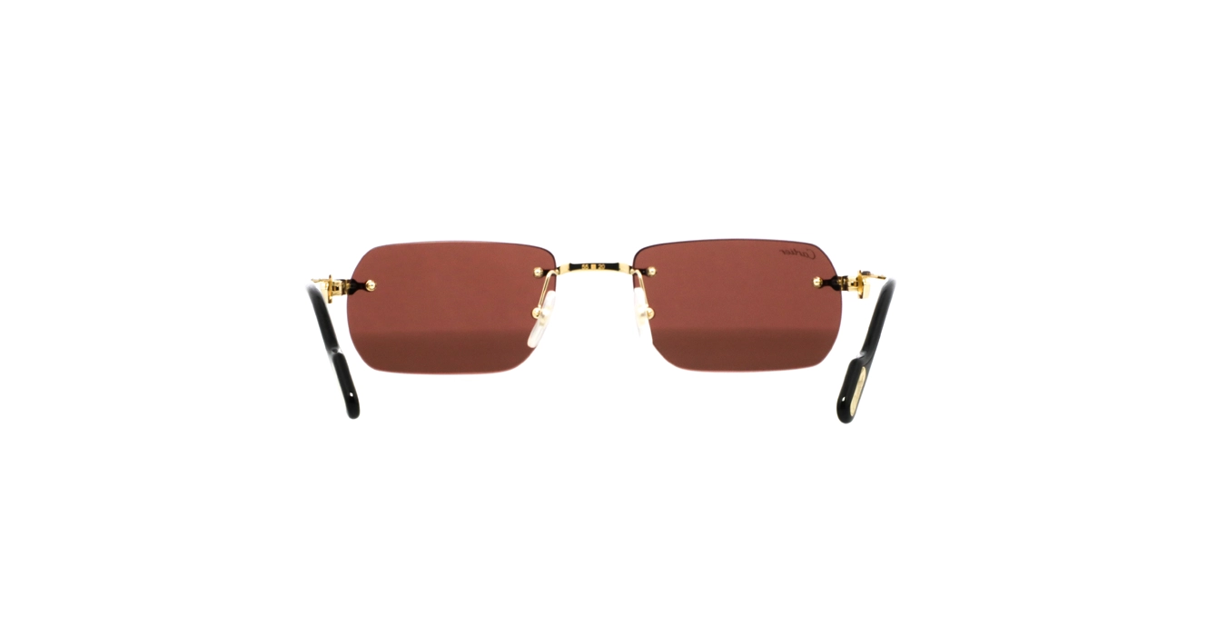Cartier CT0498S 002 s55