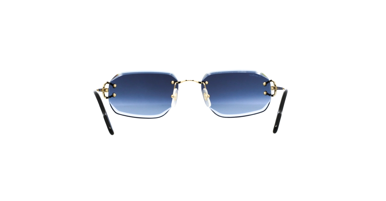 Cartier CT0468S 002 s58