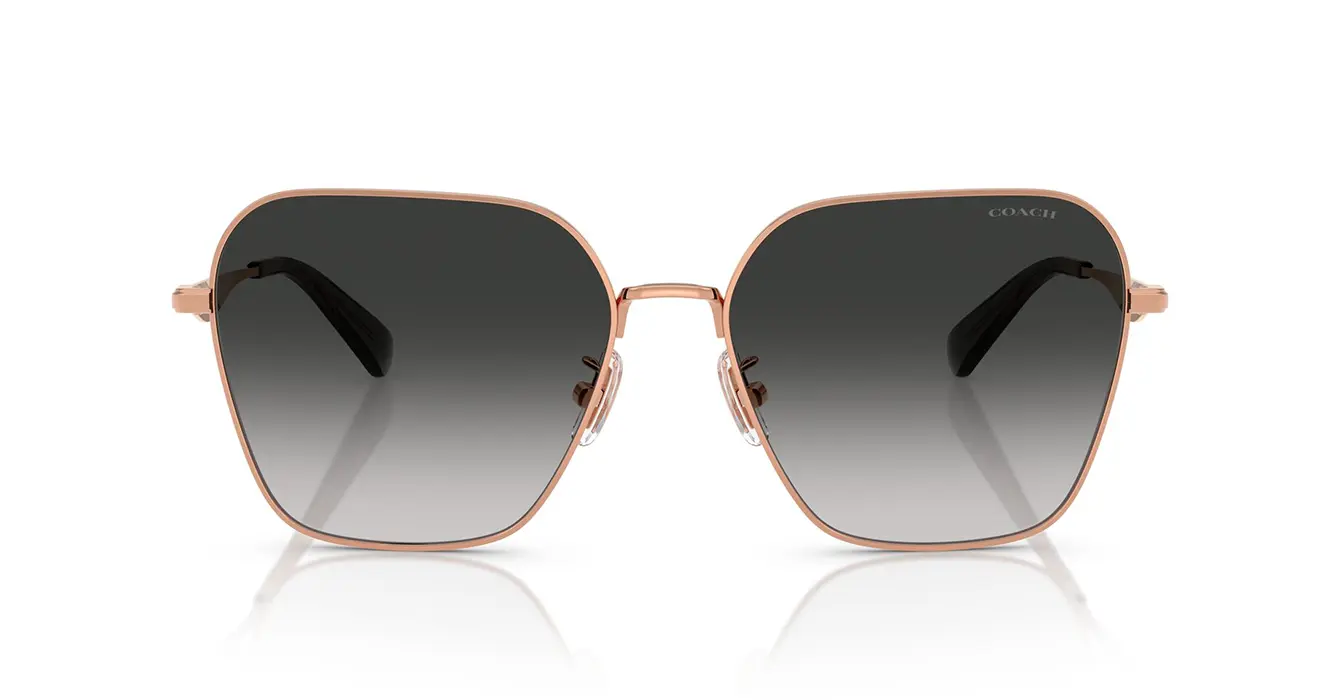 Coach HC7168 9331/3C s58