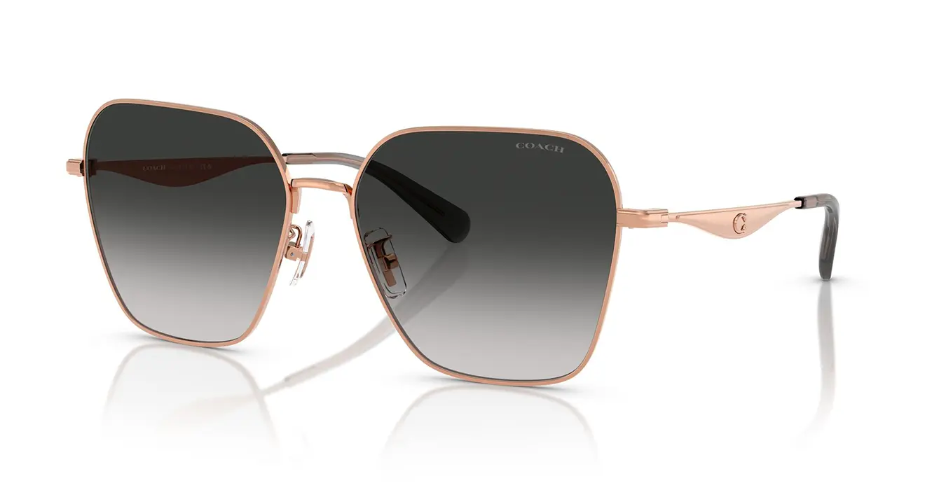 Coach HC7168 9331/3C s58