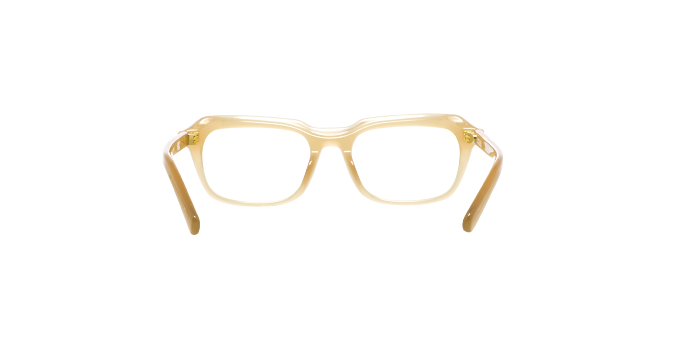 Jacquemus JAC95 C3 s53