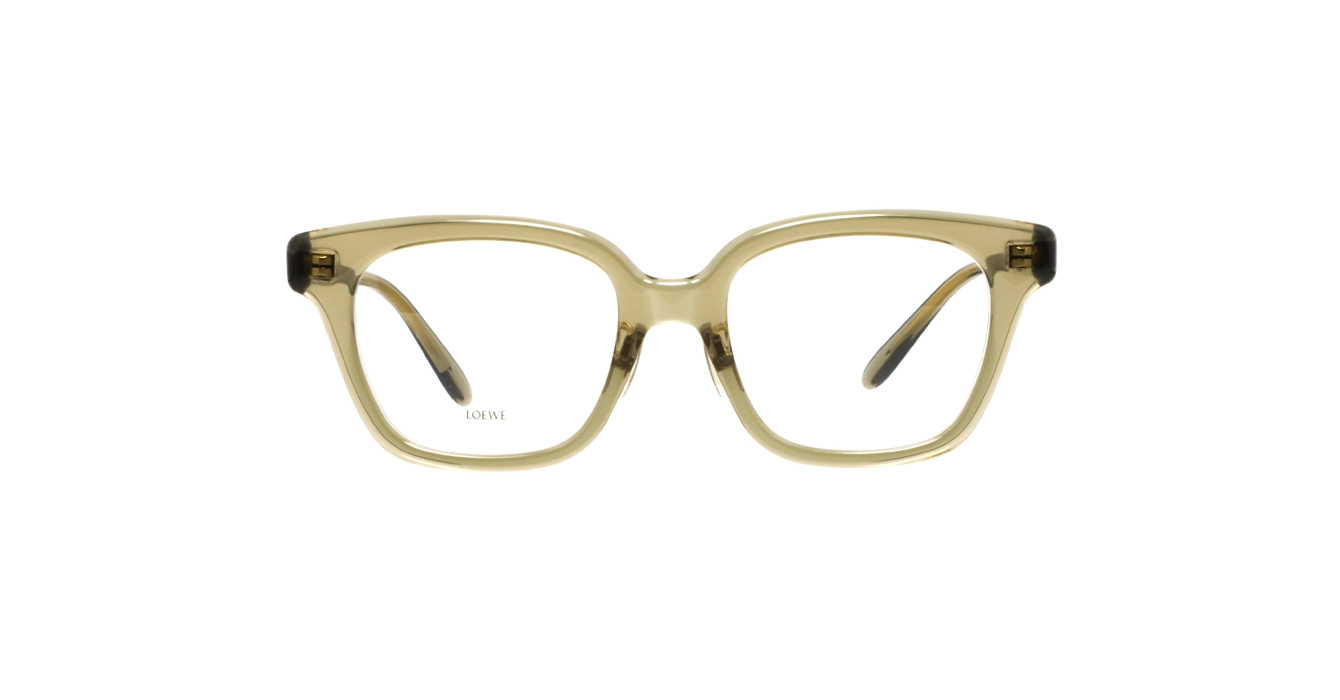 Loewe LW50083F 096 s51