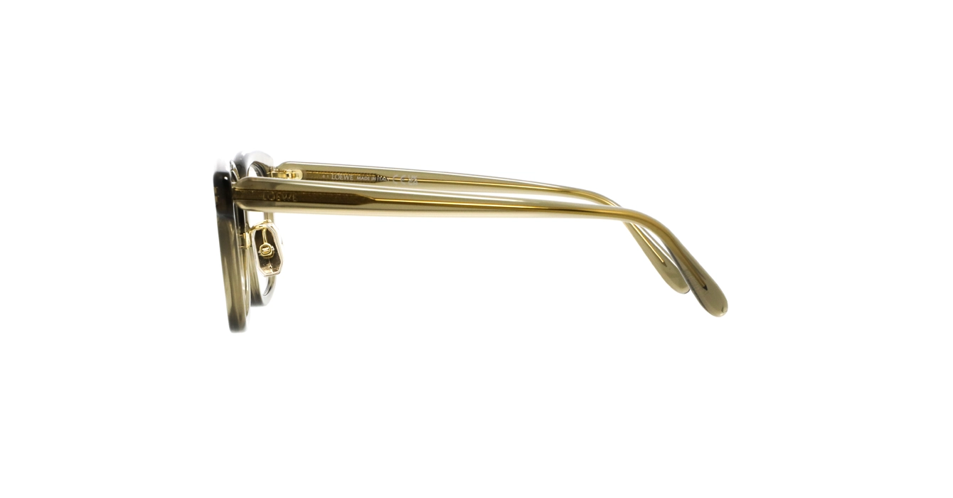 Loewe LW50083F 096 s51