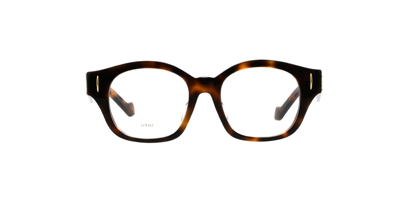 Loewe LW50096F 052 s50