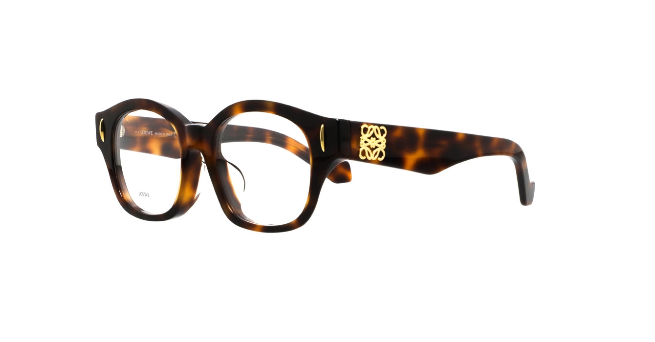 Loewe LW50096F 052 s50